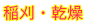 E